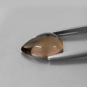 Quartzo fumê marrom natural 3,68ct, transparente, transparente/translúcido
