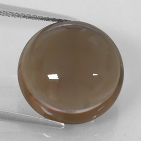 Quartzo fumê marrom natural 13,12ct, transparente, transparente/translúcido