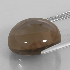 Quartzo fumê marrom natural 11,27ct, transparente, transparente/translúcido