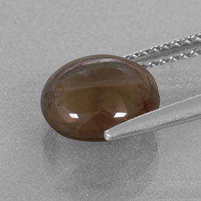Quartzo fumê marrom natural 2,76ct, corte redondo, transparente