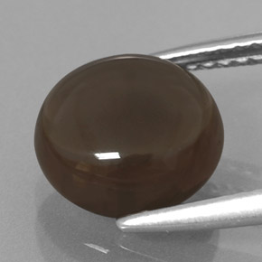 Quartzo fumê marrom natural 2,66ct, corte redondo, transparente