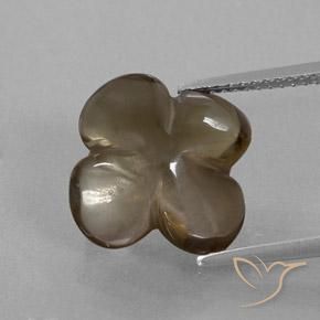 6.24ct Natural Umber Brown Quartzo Fumê, Flor cortada, Transparente/Translúcido