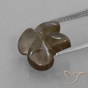 Quartzo Fumê Umber Brown Natural 6.24ct, Flor cortada, Transparente/Translúcido