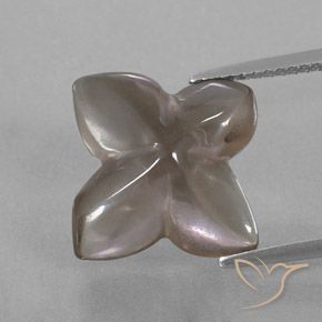8.80ct Natural Castanho muito claro Quartzo Fumê, Flor cortada, Transparente/Translúcido