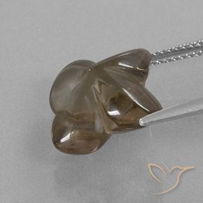 Quartzo Fumê Castanho médio Natural 7.84ct, Flor cortada, Transparente/Translúcido