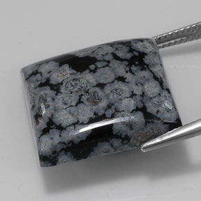 Obsidiana floco de neve preto natural 22,67ct, quadrado, opaco