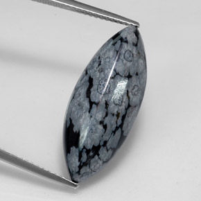 Obsidiana floco de neve multicolorido natural 8,69ct, marquise, opaco