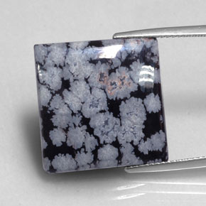 Obsidiana floco de neve preto natural 16,12ct, quadrado, opaco
