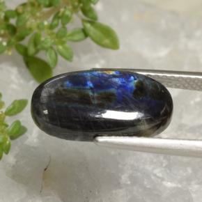 Espectrolita multicolorido natural 3,52ct, corte oval, opaco
