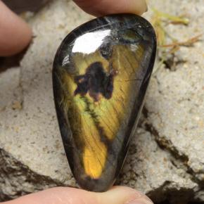 Espectrolita multicolorido natural 27,88ct, forma extravagante, opaco