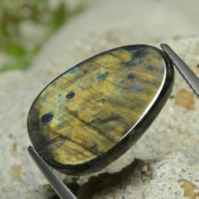 Spectrolite Multicolorido Natural 7.78ct, Forma extravagante, Opaco