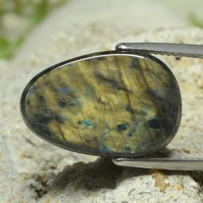 Spectrolite Multicolorido Natural 7.78ct, Forma extravagante, Opaco