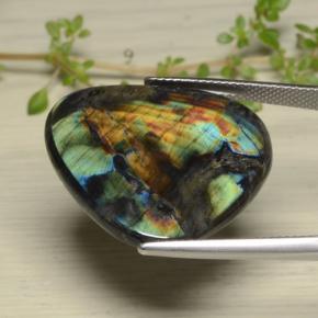 Espectrolita multicolorido natural 14,38ct, trillion, opaco