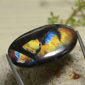 Espectrolita multicolorido natural 18,04ct, corte oval, opaco