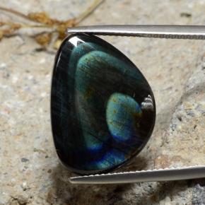 Spectrolite Multicolorido Natural 9.82ct, Forma extravagante, Opaco