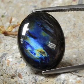 Espectrolita multicolorido natural 10,68ct, corte oval, opaco