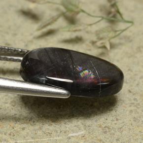 Espectrolita multicolorido natural 3,17ct, corte oval, opaco