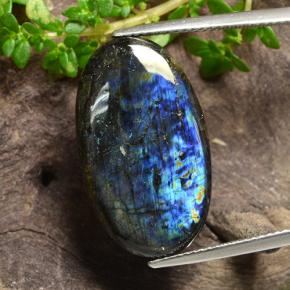 Espectrolita multicolorido natural 12,54ct, corte oval, opaco