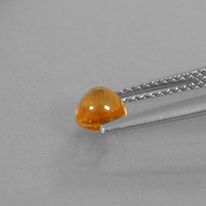 Granada espessartita laranja natural 0,87ct, transparente, transparente/translúcido