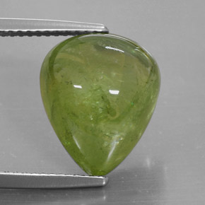 Esfena verde natural 10,20ct, transparente, transparente/translúcido