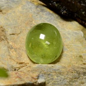 Esfena verde natural 5,04ct, corte oval, translúcido