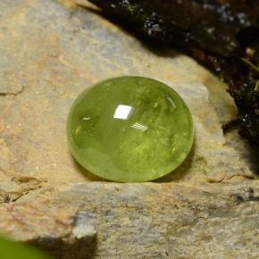 Esfena verde natural 5,04ct, corte oval, translúcido