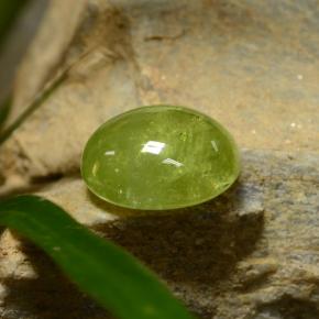 Esfena verde natural 5,04ct, corte oval, translúcido