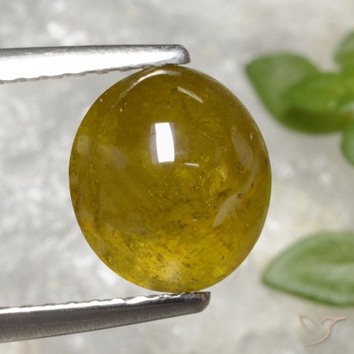 3.20ct Natural amarelo médio Esfena, oval, Translúcido