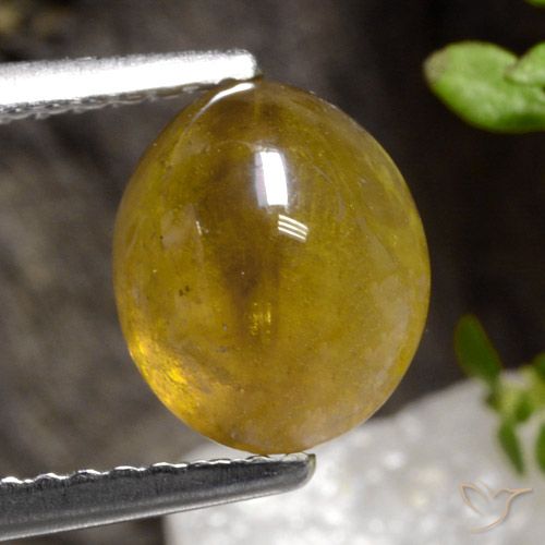 2.68ct Natural Ouro Esfena, oval, Translúcido