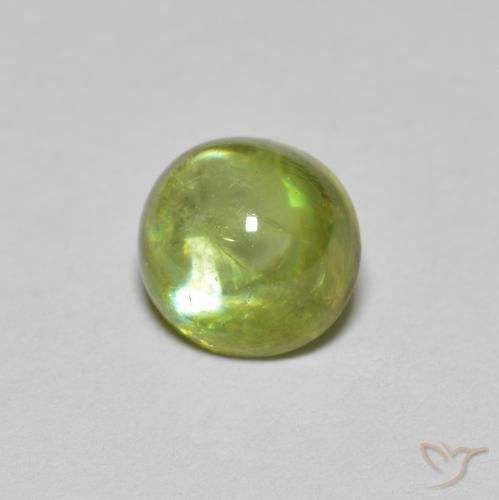 Esfena Medium Light Green Natural 1.46ct, oval, Transparente