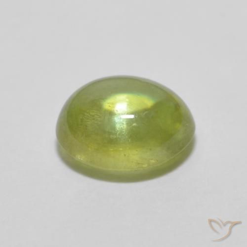 Esfena Verde Floresta Quente Natural 1.07ct, oval, Transparente