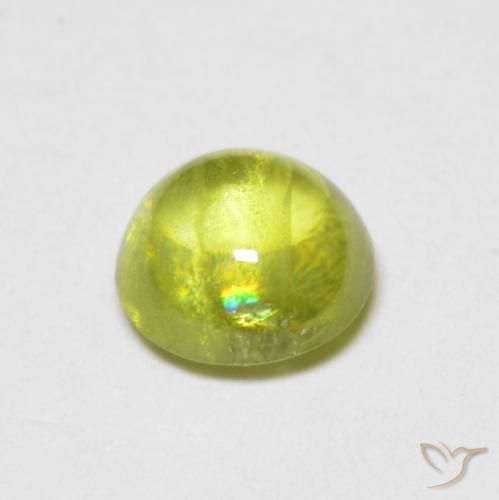 Esfena Verde Floresta Quente Natural 0.85ct, Redondo, Transparente