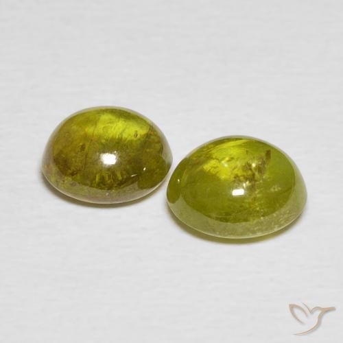 Pedras preciosas de Esfena Verde Floresta Quente natural de 3.52 ct, oval, Transparente