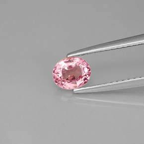 Espinélio rosa natural 0,63ct, corte oval, VS
