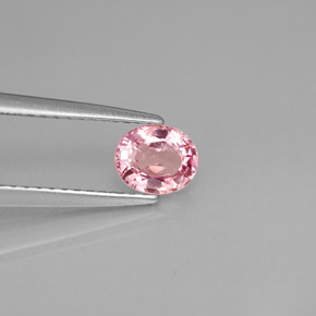Espinélio rosa natural 0,63ct, corte oval, VS