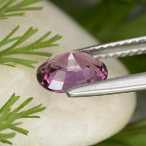 Espinélio roxo natural 1,15ct, corte oval, VVS-VS