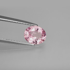 Espinélio rosa natural 1,03ct, corte oval, VS