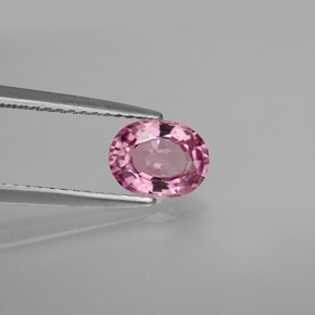 Espinélio rosa natural 1,05ct, corte oval, VS