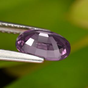 Espinélio roxo natural 1,08ct, corte oval, VS