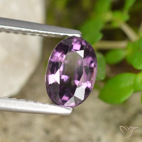 Espinélio Roxo escuro Natural 1.11ct, oval, VS