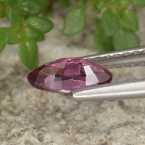 Espinélio violeta natural 0,62ct, marquise, VVS-VS