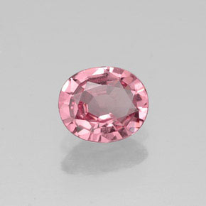 Espinélio rosa natural 0,69ct, corte oval, VVS