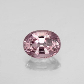 Espinélio rosa natural 1,62ct, corte oval, VVS-VS
