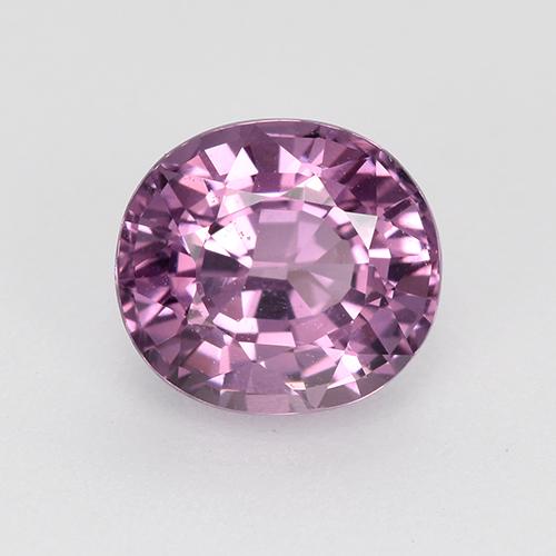 Espinélio uva roxa Natural 1.46ct, Corte Oval, VS