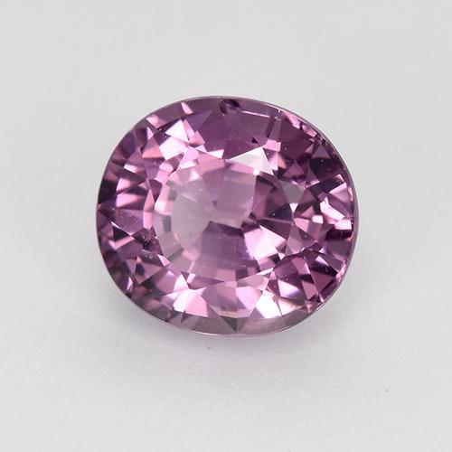Espinélio uva roxa Natural 1.46ct, Corte Oval, VS