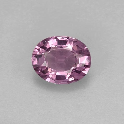 Espinélio roxo natural 1,63ct, corte oval, VVS