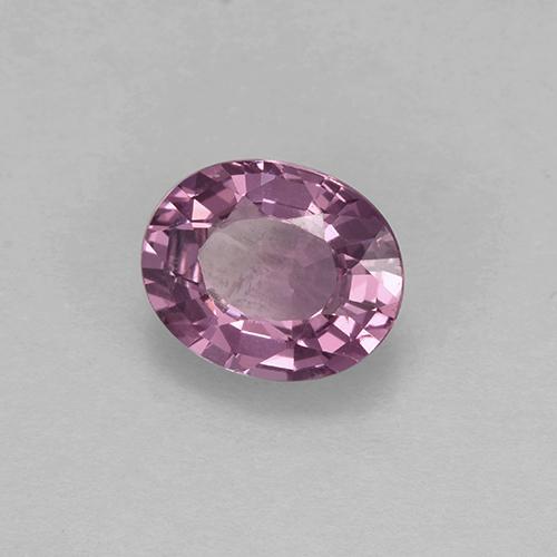 Espinélio roxo natural 1,63ct, corte oval, VVS