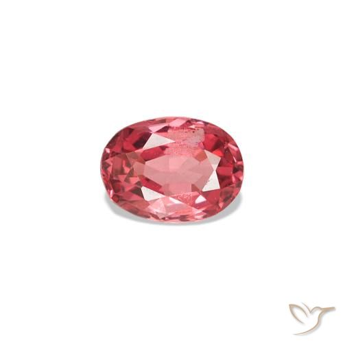 Espinélio Vermelho Escarlate Claro Natural 0.21ct, Corte Oval, VVS