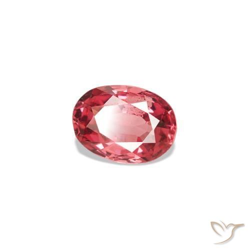 Espinélio Vermelho Escarlate Claro Natural 0.21ct, Corte Oval, VVS