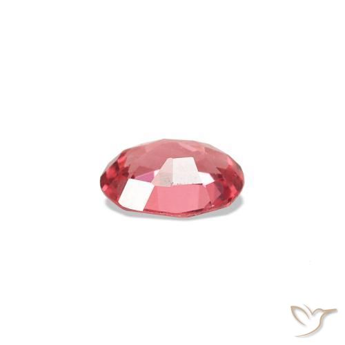 Espinélio Vermelho Escarlate Claro Natural 0.21ct, Corte Oval, VVS